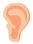 ear